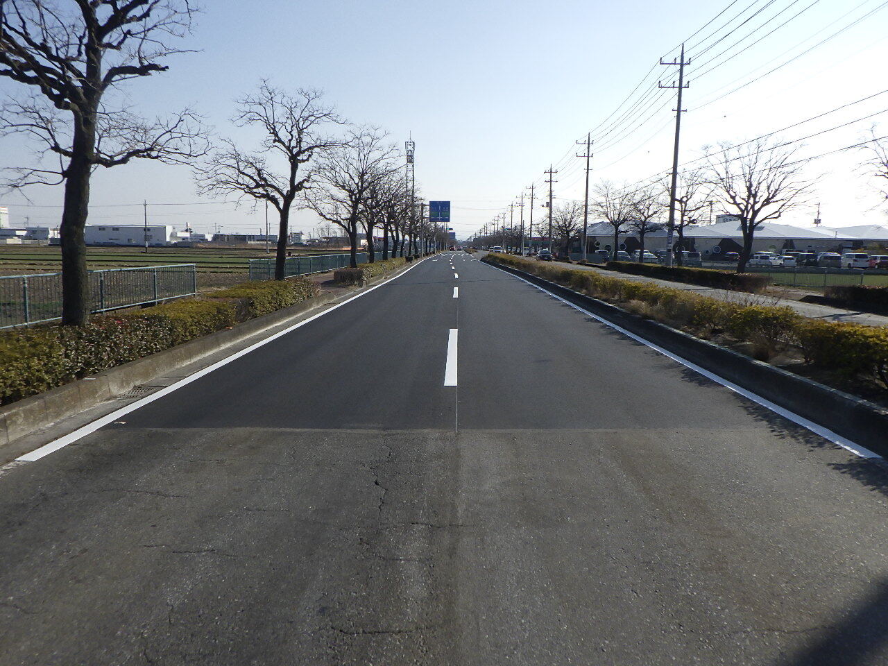 写真：舗装された道